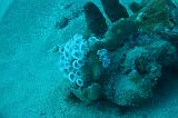 2008-05-17 15-25-39 H